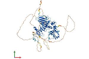 Protein Structure (PS) image for Checkpoint with Forkhead and Ring Finger Domains (CHFR) (AA 1-664) protein (His tag) (ABIN7553319)