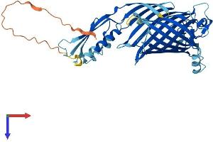 SAMM50 Protein (AA 1-469) (His tag)