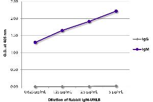 ELISA plate was coated with serially diluted Rabbit IgM-UNLB and quantified.