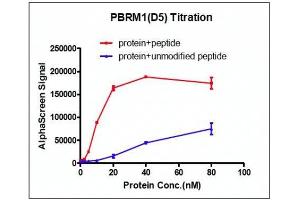 Screening Assay (ScA) image for Polybromo 1 (PBRM1) (AA 613-734) protein (His tag,DYKDDDDK Tag) (ABIN2669650)