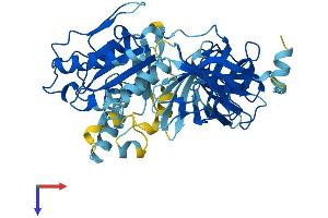 AlphaFold protein structure predicition of Human Recombinant EEF1A1P5 Protein, UniprotID Q5VTE0