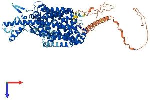 SLC6A17 Protein (AA 1-727) (His tag)