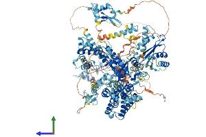 AlphaFold protein structure predicition of Human Recombinant SCAND3 Protein, UniprotID Q6R2W3