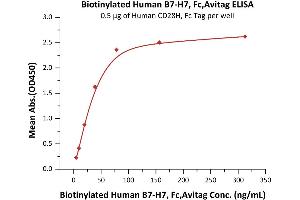 Immobilized Human CD28H, Fc Tag (ABIN5526603,ABIN5526604) at 5 μg/mL (100 μL/well) can bind Biotinylated Human B7-H7, Fc,Avitag (ABIN5955002,ABIN6253641) with a linear range of 5-78 ng/mL (QC tested). (HHLA2 Protein (AA 23-344) (Fc Tag,AVI tag,Biotin))