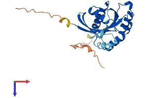 RAB3B Protein (AA 1-219) (His tag)