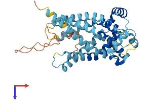 SLC25A37 Protein (AA 1-338) (His tag)