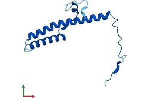 Protein Structure (PS) image for NADH Dehydrogenase (Ubiquinone) 1, Subcomplex Unknown, 2, 14.5kDa (NDUFC2) (AA 1-120) protein (His tag) (ABIN7560513)