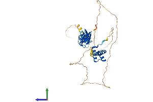 Protein Structure (PS) image for LIM Homeobox 5 (LHX5) (AA 1-402) protein (His tag) (ABIN7549085)
