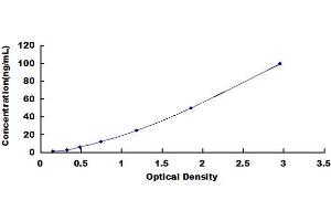 Actinin, alpha 3 (ACTN3) ELISA Kit
