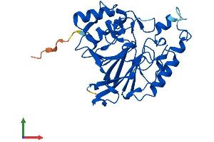Protein Structure (PS) image for metallophosphoesterase Domain Containing 2 (MPPED2) (AA 1-294) protein (His tag) (ABIN7560789)