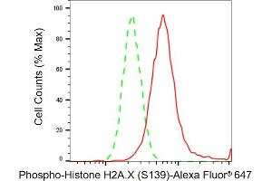 Flow cytometric analysis of Phospho-Histone H2A. (Rekombinanter H2AFX Antikörper  (H2A.XS139ph))