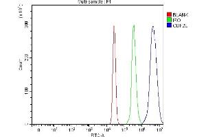 Flow Cytometry analysis of U937 cells using anti-ODF2L antibody (ABIN7601202). (ODF2L Antikörper  (AA 3-610))