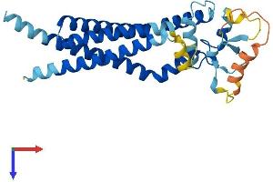 CD37 Protein (AA 1-281) (His tag)