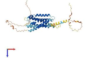 G Protein-Coupled Receptor 19 (GPR19) (AA 1-415) protein (His tag)