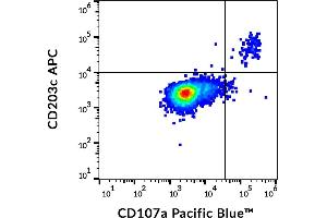 Flow cytometry multicolor staining pattern of human IgE-stimulated PBMC stained using anti-human CD107a (H4A3) Pacific Blue and anti-human CD203c (NP4D6) APC. (ENPP3 Antikörper  (APC))