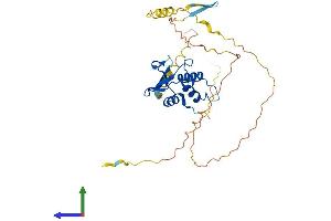 Protein Structure (PS) image for Interferon Regulatory Factor 1 (IRF1) (AA 1-329) protein (His tag) (ABIN7562884)