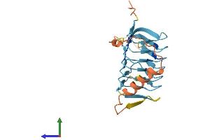 Protein Structure (PS) image for Dynactin 6 (DCTN6) (AA 1-190) protein (His tag) (ABIN7547033)