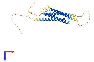 RGS7BP Protein (AA 1-257) (His tag)