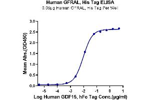 Immobilized Human GFRAL, His Tag at 0. (GFRAL Protein (AA 19-351) (His-Avi Tag))