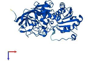 ADH7 Protein (AA 1-374) (His tag)