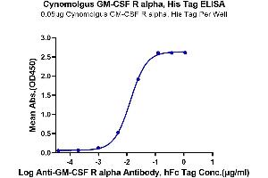 Immobilized Cynomolgus GM-CSF R alpha, His Tag at 0. (CSF2RA Protein (AA 20-317) (His tag))