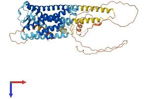 PTGER4 Protein (AA 1-513) (His tag)