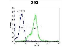 LGALS9B Antibody (Center) (ABIN654023 and ABIN2843944) flow cytometric analysis of 293 cells (right histogram) compared to a negative control cell (left histogram). (LGALS9B Antikörper  (AA 160-188))