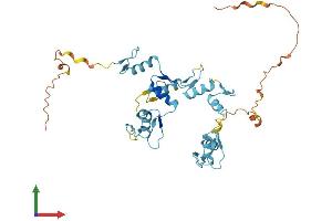 Protein Structure (PS) image for General Transcription Factor IIIA (GTF3A) (AA 1-364) protein (His tag) (ABIN7559935)