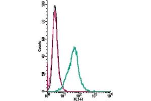 Cell surface detection of δ opioid receptor  by indirect flow cytometry in live intact mouse  microglia cells: + goat-anti-rabbit-FITC.