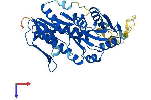 PRPSAP1 Protein (AA 1-356) (His tag)