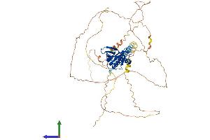 Protein Structure (PS) image for Disabled Homolog 1 (Drosophila) (DAB1) (AA 1-588) protein (His tag) (ABIN7556782)