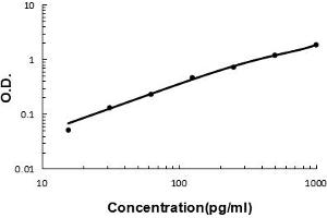 anti-Interleukin 17A (IL17A) (AA 26-158) antibody