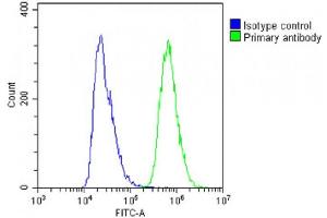 Overlay histogram showing A431 cells stained with (ABIN6243400 and ABIN6578788)(green line). (NSFL1C Antikörper  (AA 214-248))