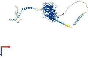 DNAI2 Protein (AA 1-623) (His tag)
