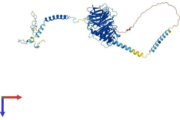 DNAI2 Protein (AA 1-623) (His tag)