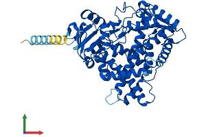 AlphaFold protein structure predicition of Mouse Recombinant Cyp2c54 Protein, UniprotID Q6XVG2