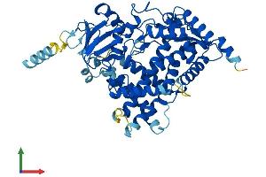 Protein Structure (PS) image for Cytochrome P450, Family 17, Subfamily A, Polypeptide 1 (CYP17A1) (AA 1-508) protein (His tag) (ABIN7546687)