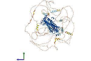 Protein Structure (PS) image for Anillin, Actin Binding Protein (ANLN) (AA 1-1121) protein (His tag) (ABIN7564630)