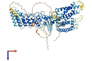 TRPV3 Protein (AA 1-791) (His tag)