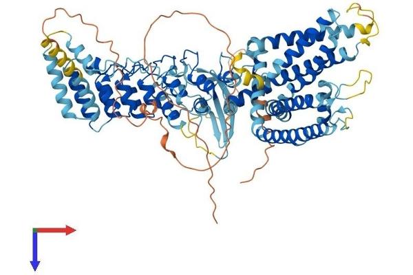 TRPV3 Protein (AA 1-791) (His tag)