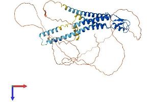 GJa10 Protein (AA 1-505) (His tag)
