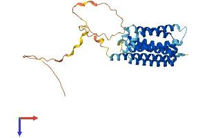 FAIM2 Protein (AA 1-316) (His tag)