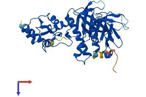 ADAP2 Protein (AA 1-381) (His tag)