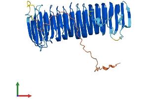 AlphaFold protein structure predicition of Mouse Recombinant Fam185a Protein, UniprotID Q7TPD2