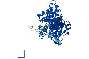 AlphaFold protein structure predicition of Human Recombinant AGPAT4 Protein, UniprotID Q9NRZ5