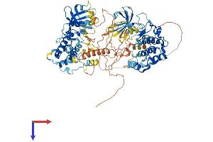 MSK1 Protein (AA 1-802) (His tag)