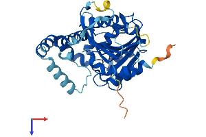 LDAH/C2orf43 Protein (AA 1-326) (His tag)