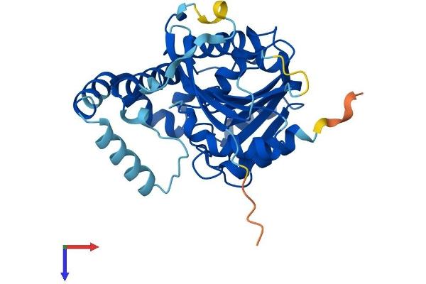 LDAH/C2orf43 Protein (AA 1-326) (His tag)