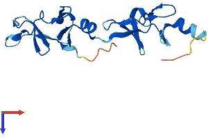 LMO1 Protein (AA 1-156) (His tag)
