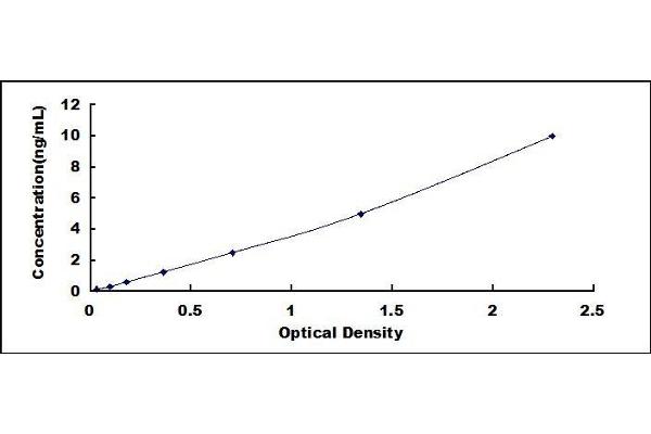 MMP2 ELISA Kit